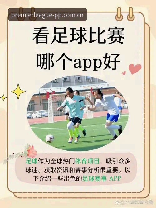 体育官网英超2026新版实用迁移指南：资深球迷的旧版兼容与APP升级选择